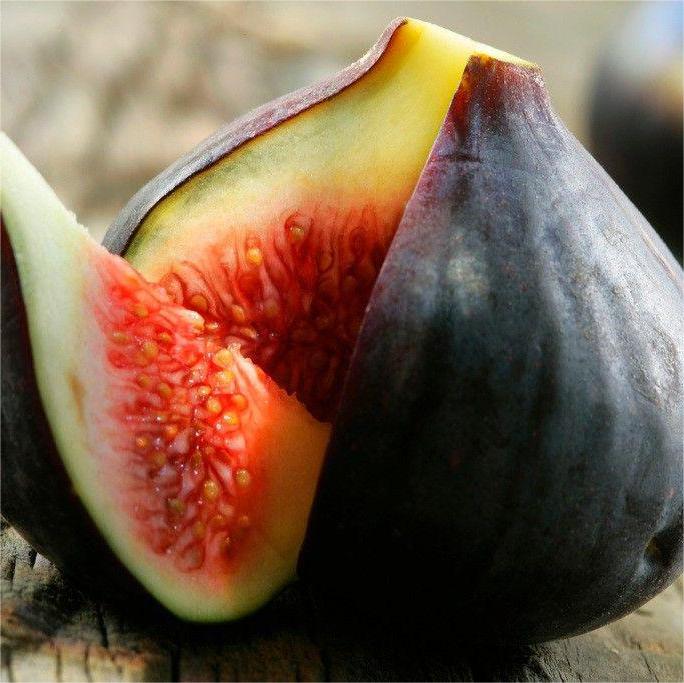 Semena fig SweetHarvest-SI