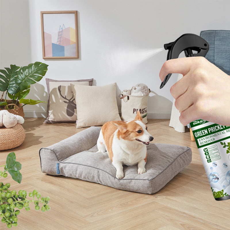 ⚡Oferta limitada: ¡Compra 2 y llévate 1 gratis!⚡ - Spray potente para eliminar ácaros del polvo-ES