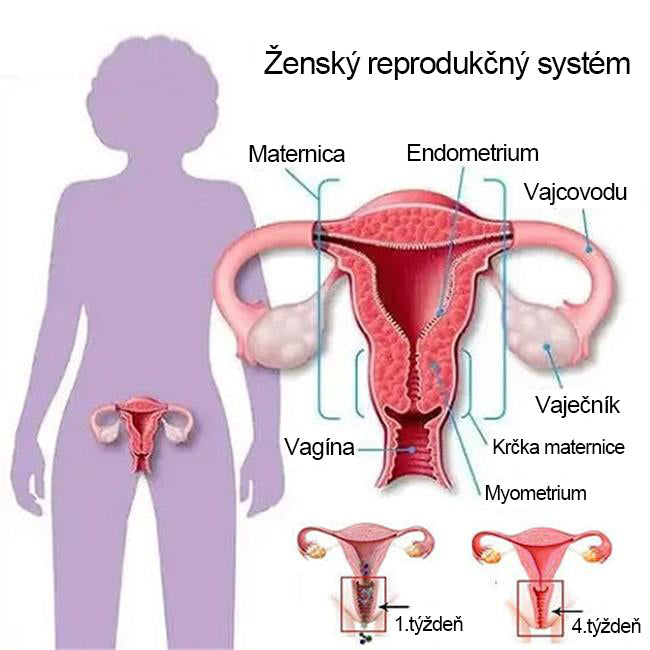 ✨Pirkite vieną ir vieną gaukite nemokamai✨ kūno formas formuojantys apatiniai drabužiai