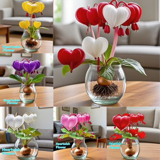 💕 Uresničite si želje: Čebulice želja – Cvetoče čudeže za vsak dom🌷-SI
