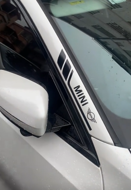 Oferta especial 🔥50% de descuento🔥Pegatinas personalizadas para autos deportivos🎉4 piezas🎉-ES